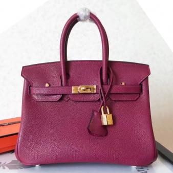 Hermes Birkin 25 Bag in Ruby Clemence Leather