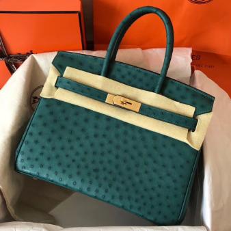 Hermes Birkin 30 Handmade Bag In Ostrich Green Skin