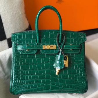 Hermes Crocodile Leather 25cm Birkin Bag In Green Embossed