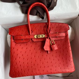 Hermes Retourne Birkin Bag 25 Handmade In Red Ostrich Leather