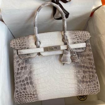 Hermes Retourne Birkin Bag 25 In Himalaya Niloticus Crocodile Skin